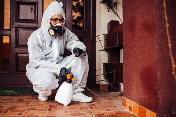 Reliable Cockroach Control contractor in Ogden, NC by Nex Pest Control